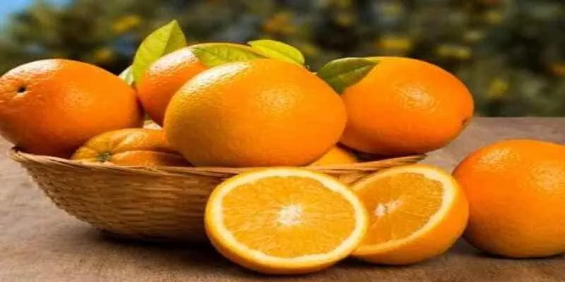 Giải mã giấc mơ thấy quả cam – Thông điệp cuộc sống